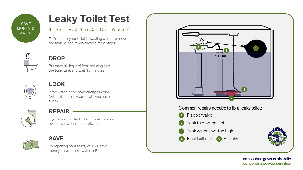 LeakyToilet Final PNG