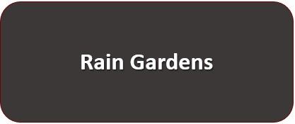 Rain Gardens