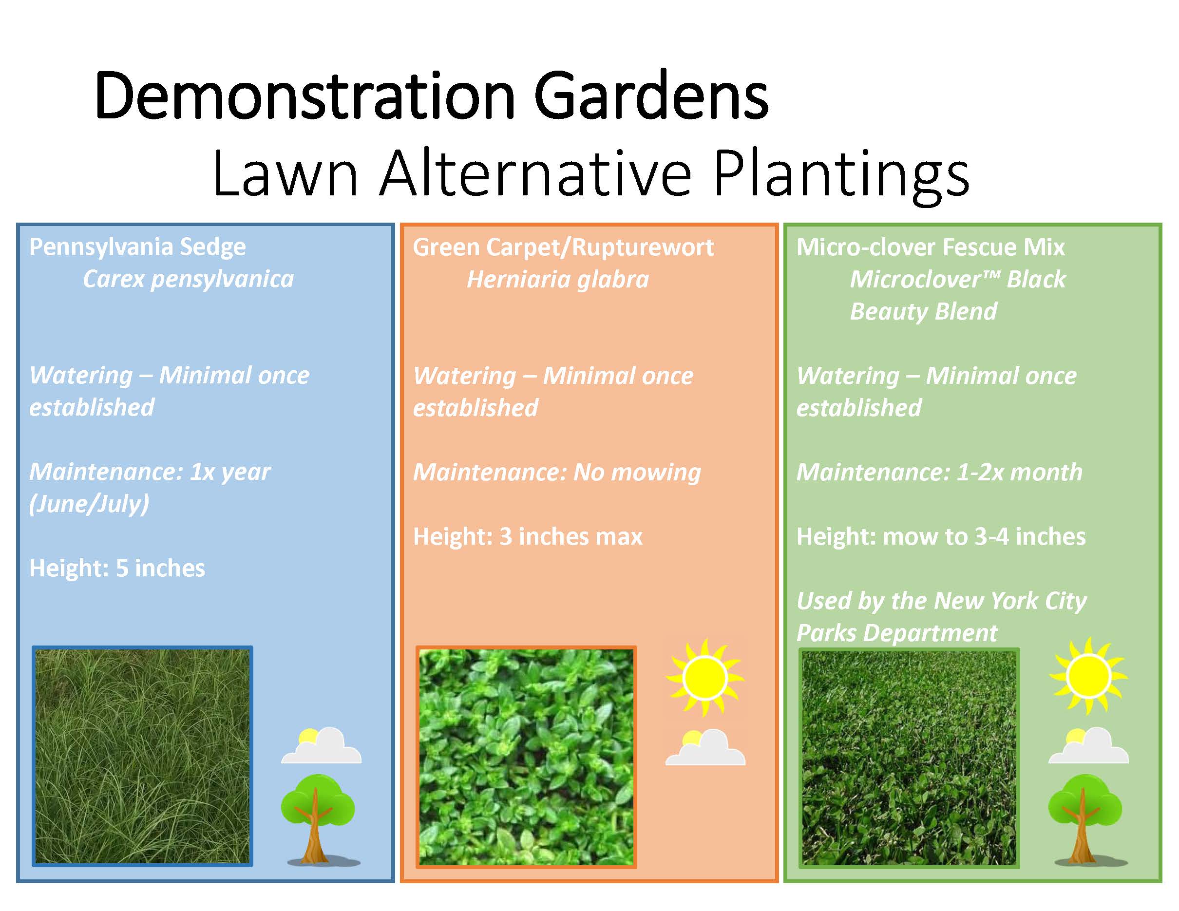 Demonstration Garden Plantings