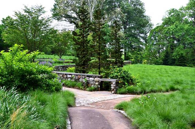 dropseed-prairie-grass