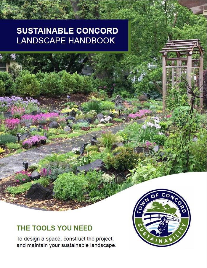 Handbook Cover