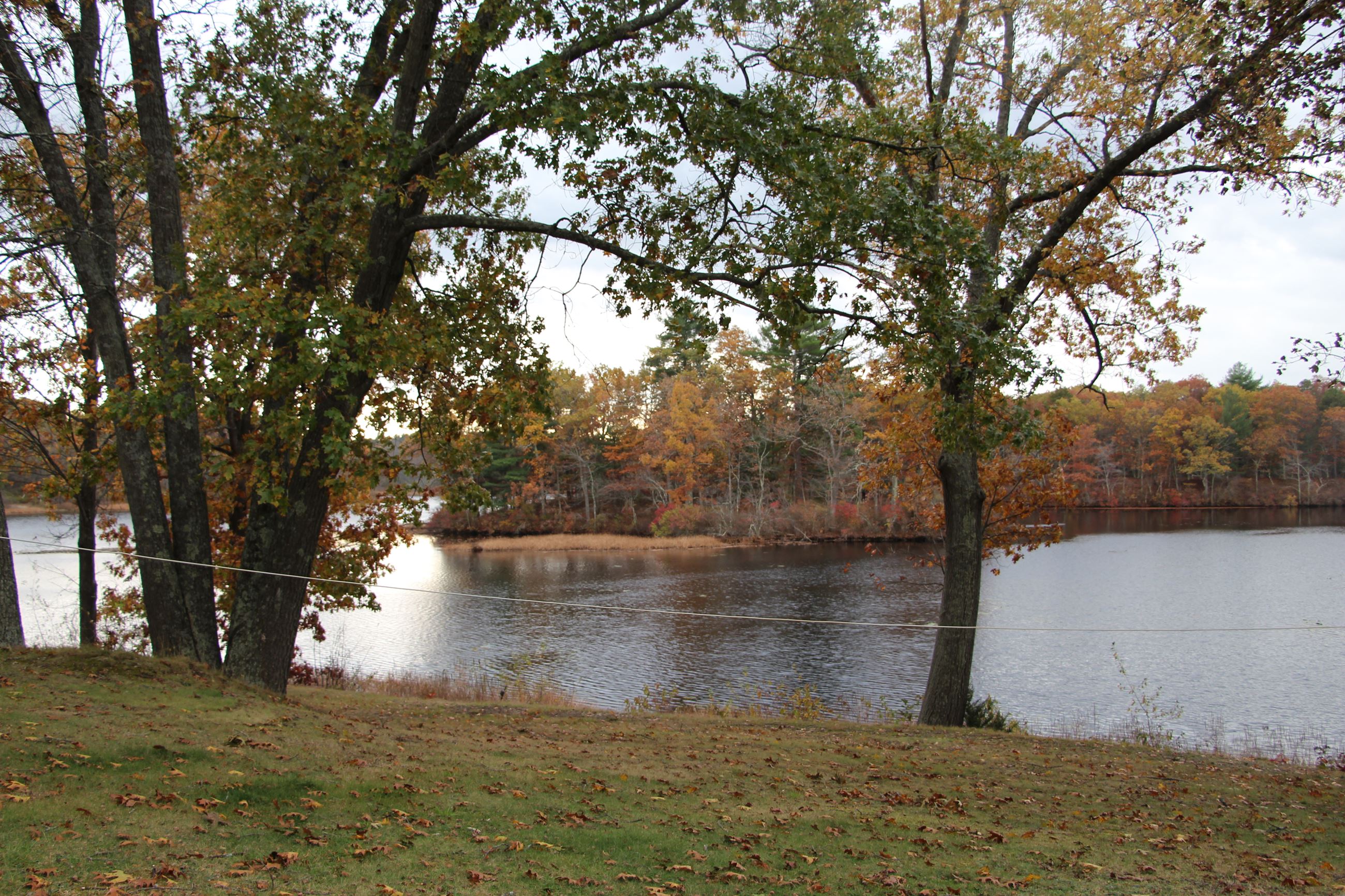 Warners Pond (Gerow Recreation Area) in fall
