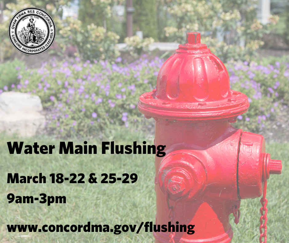 Fall 2023 Water Main Flushing