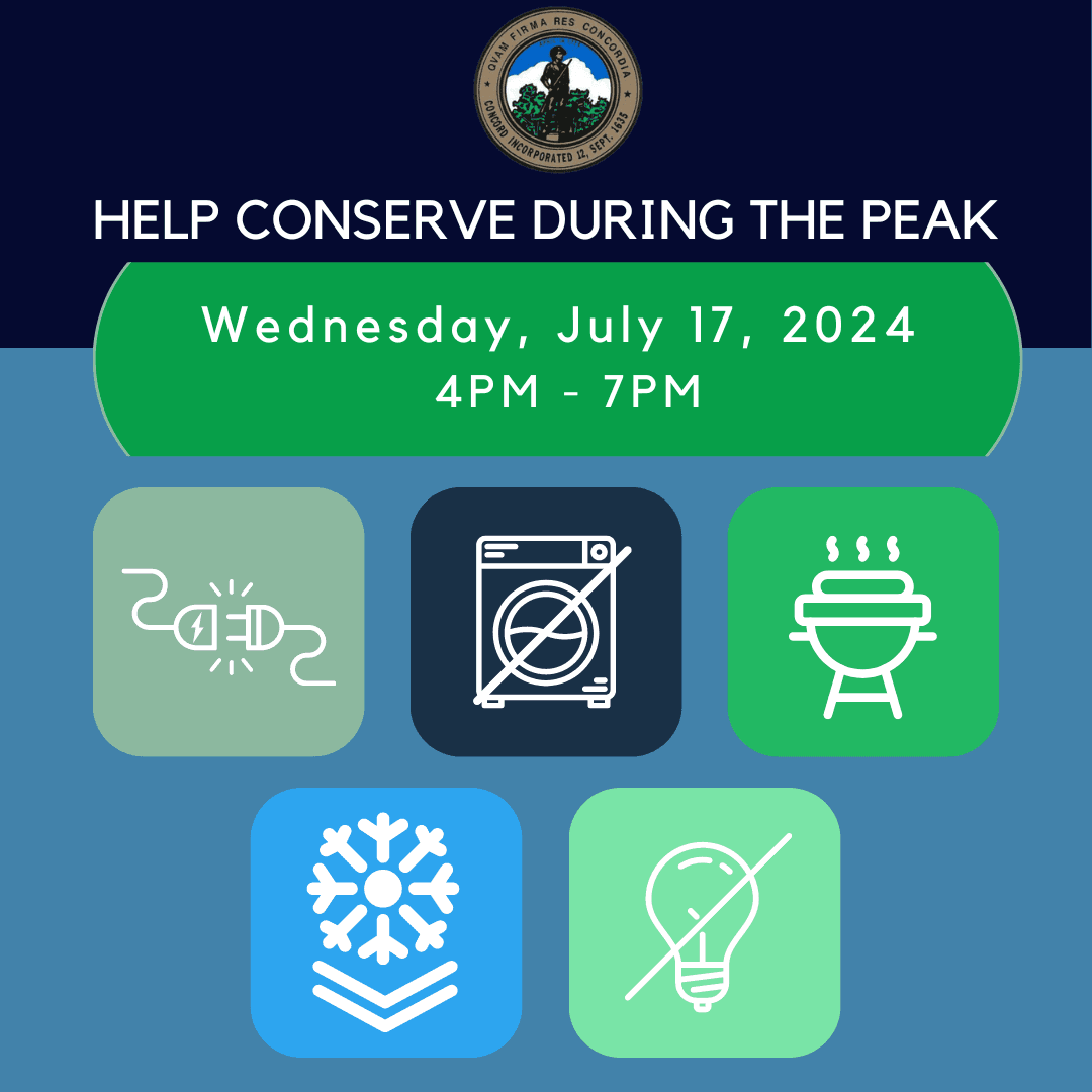 Peak Electricity graphic