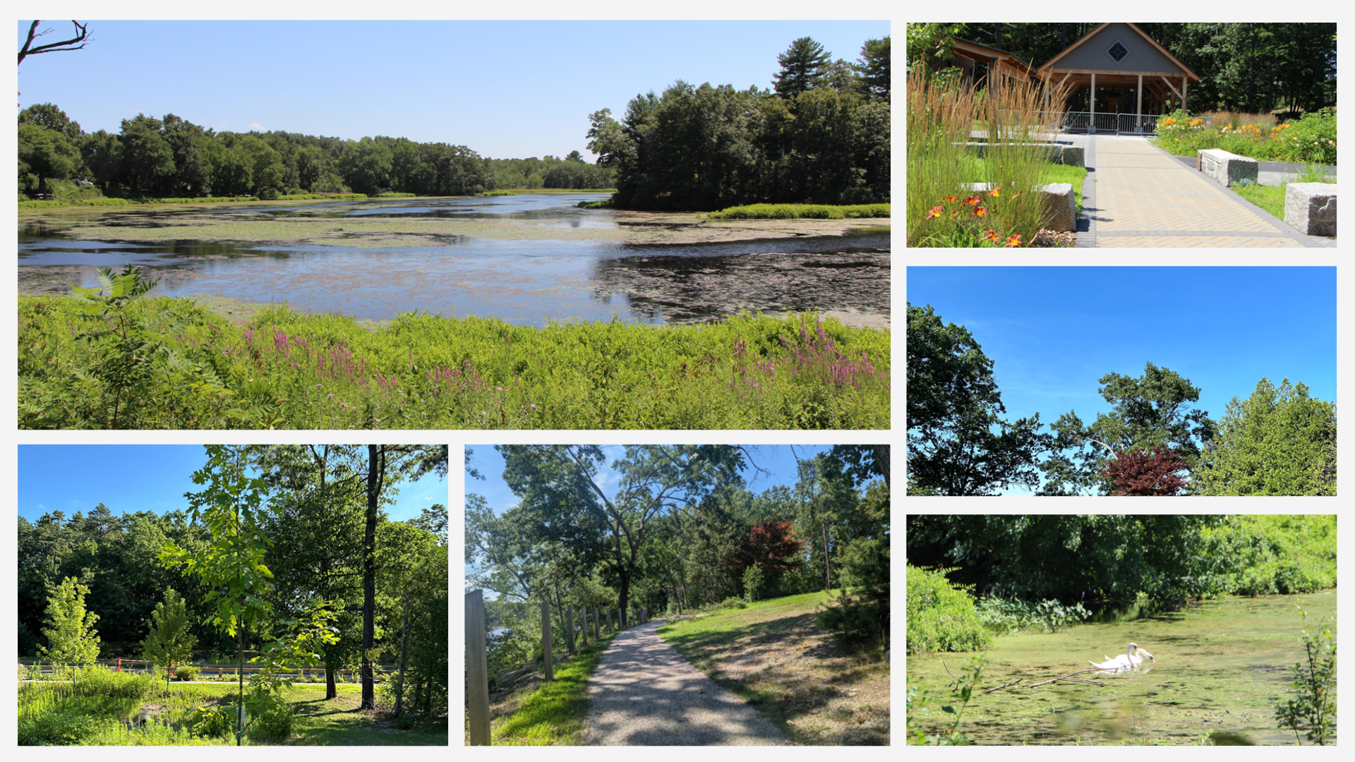 Pictures from Gerow Park and Warner's Pond