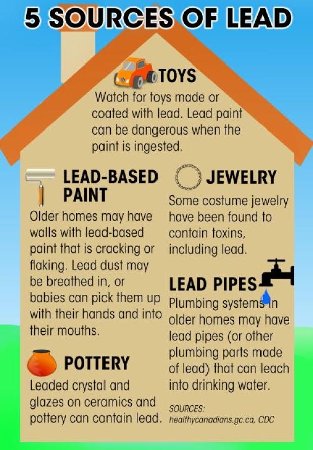 5 lead-source-infographic