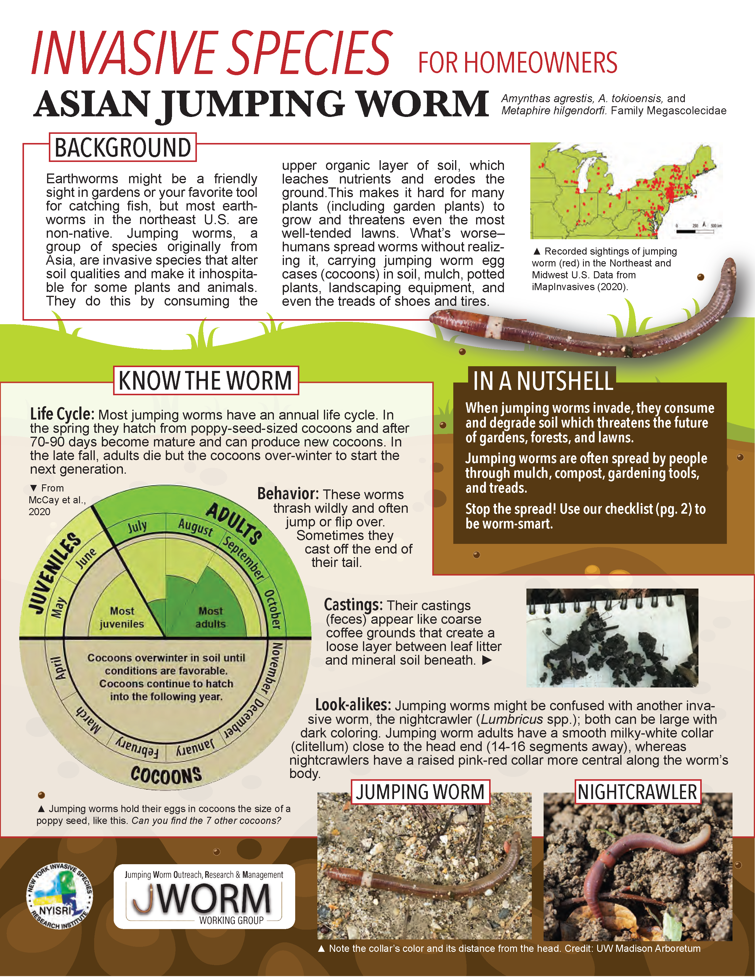 Jumping worms fact sheet