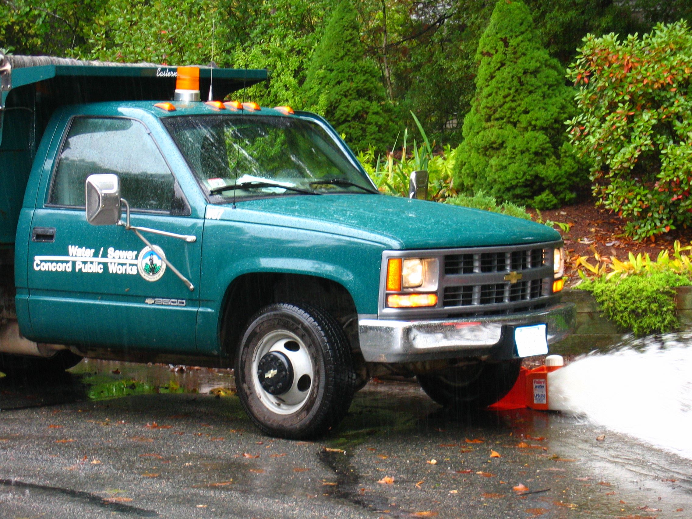 Flushing Slideshow (1)